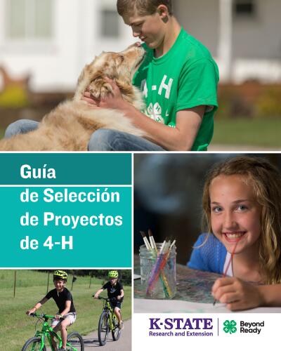 Spanish: 4-H Project Selection Guide