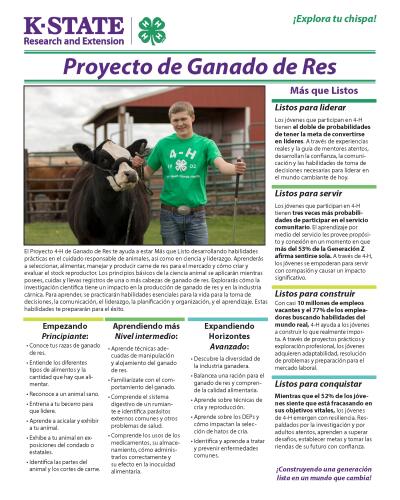 Spanish: 4-H Beef Project