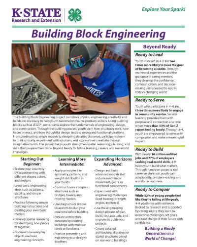 Building Block Engineering