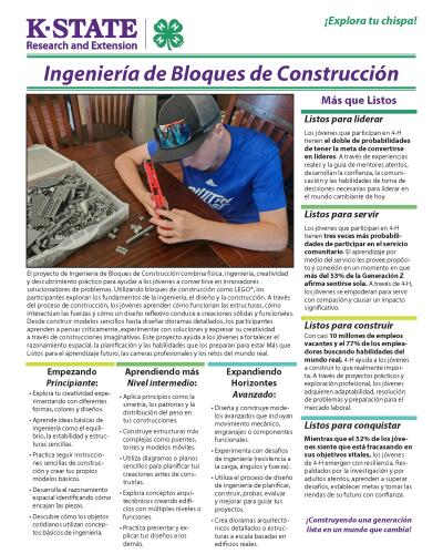 Spanish: Building Block Engineering 4-H project