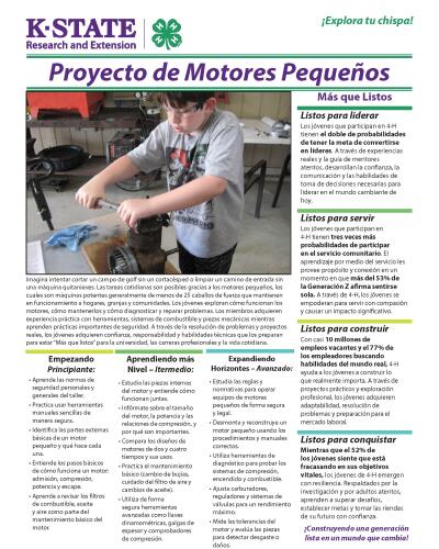 Spanish: Small Engines Project