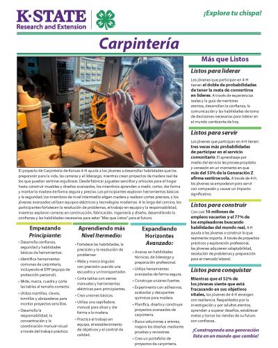 Spanish: Woodworking