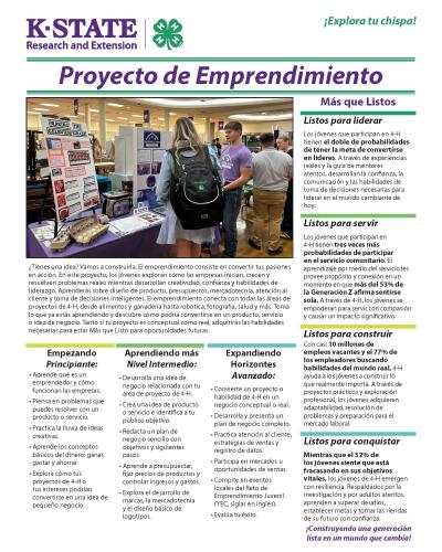 Spanish: Entrepreneurship Project