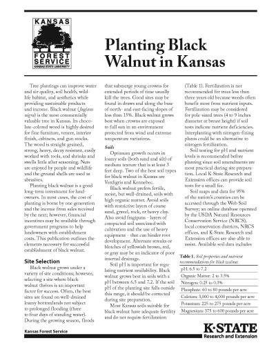 Planting Black Walnut in Kansas