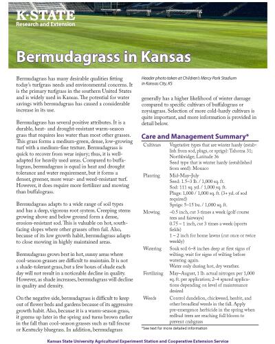 Bermudagrass in Kansas