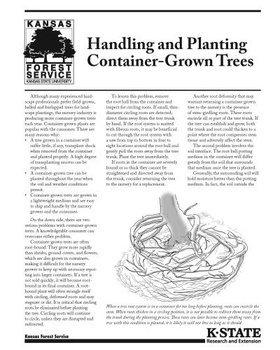 Handling and Planting Container-Grown Trees