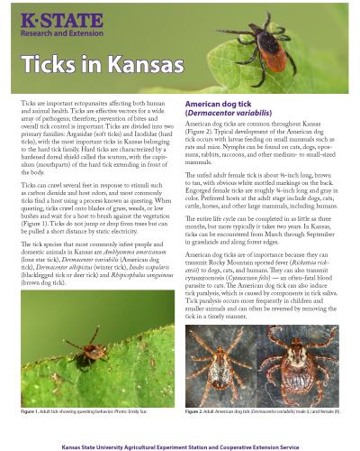 Ticks in Kansas