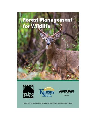 Forest Management for Wildlife
