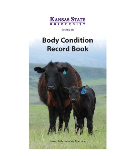Body Condition Record Book