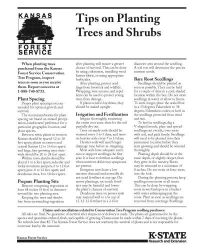 Tips on Planting Trees and Shrubs