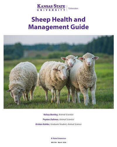 Sheep Health and Management Guide
