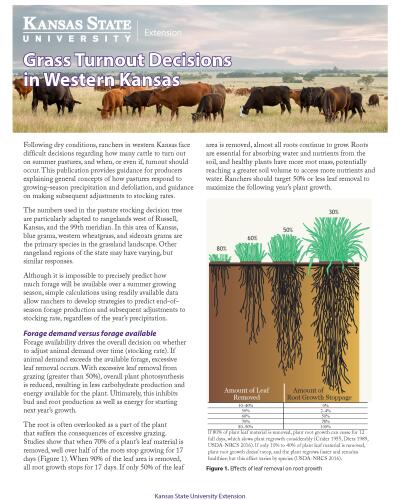 Grass Turnout Decisions in Western Kansas