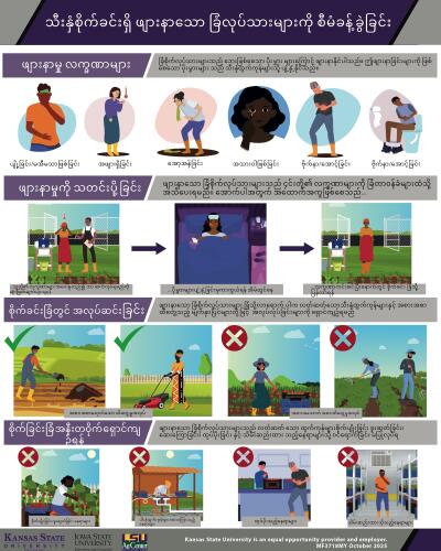 Burmese: Management of Sick Farm Workers