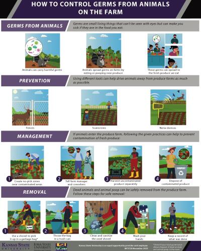 How to Control Germs from Animals on the Farm