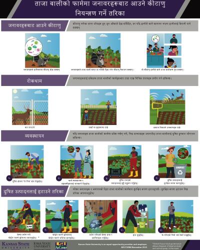 Nepali: How to Control Germs from Animals on the Farm