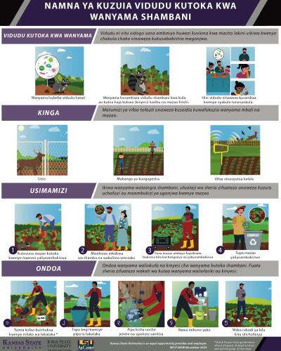 Swahili: How to Control Germs from Animals on the Farm