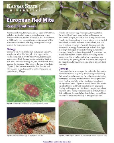European Red Mite: Pest of Fruit Trees