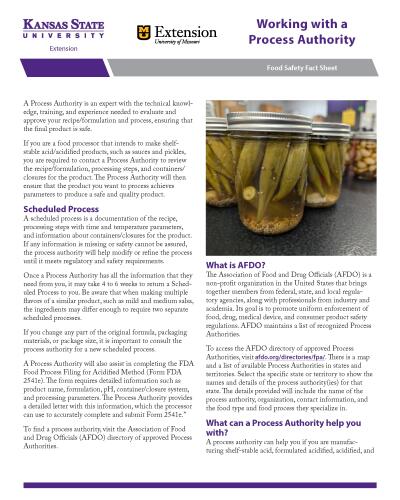 Working with a Process Authority