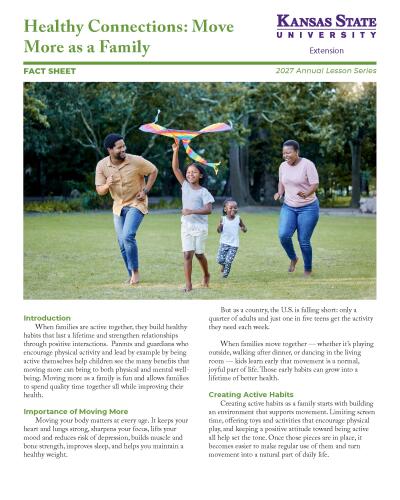 Healthy Connections: More More as a Family, Fact Sheet